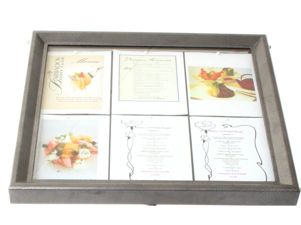Informationsdisplay 6xA4 LED stål