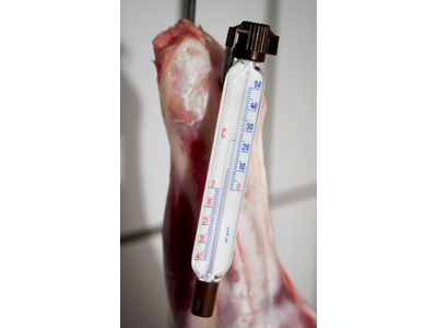 Termometer för kylrum ovalt