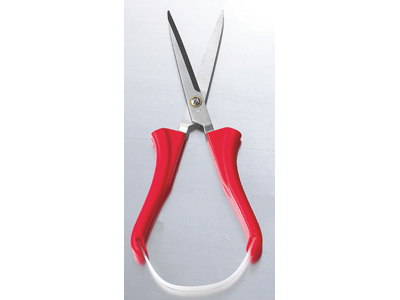 Sax, kök, Stirex S-35 BX