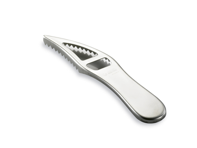 Fiskfjällsskraber - Rostfritt stål - 19 cm