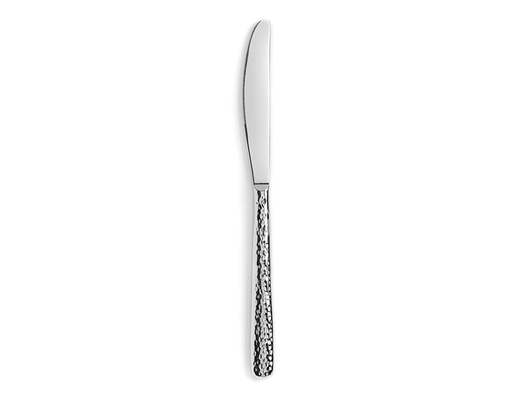 Kniv Dessert Hamret 21 cm Rostfritt stål Courchevel